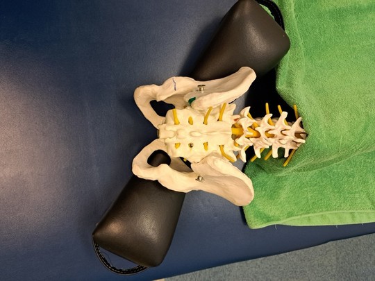 長命整体　新リンパ療法　骨盤矯正ブロック 長命整体 新リンパ療法 骨盤か矯正ブロッククラシック